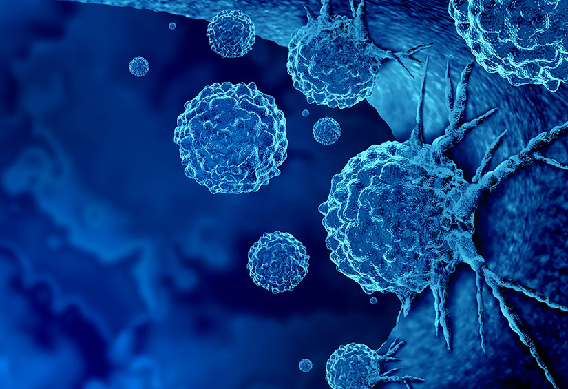 Bio4t2 develops CAR-T cell
